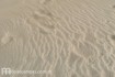 Fondos de pantalla de fotos de Mar de las Pampas