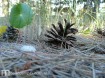 Fondos de pantalla de fotos de Mar de las Pampas