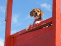 Baywatch - Foto enviada por Ver�nica