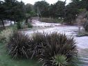 Nieve en Mar de las Pampas - Galer�a de fotos de www.MardelasPampas.com.ar - enviada por Silvina 