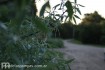Fondos de pantalla de fotos de Mar de las Pampas