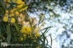 Fondos de pantalla de fotos de Mar de las Pampas