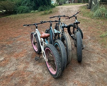 Paseos en bici y caminatas - Foto 6