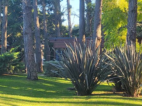 Fincas al Sur - Foto 2