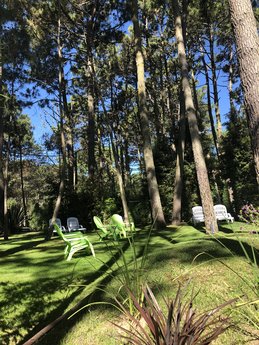 Rincón de las Pampas - Foto 11
