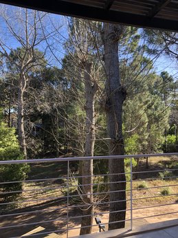Rincón de las Pampas - Foto 16