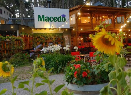 Macedo  - Foto 20