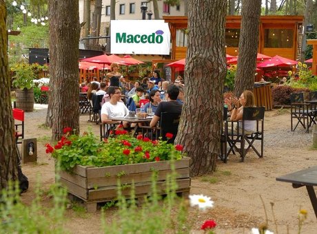 Macedo  - Foto 2