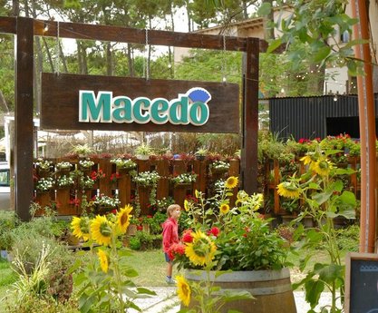 Macedo  - Foto 3