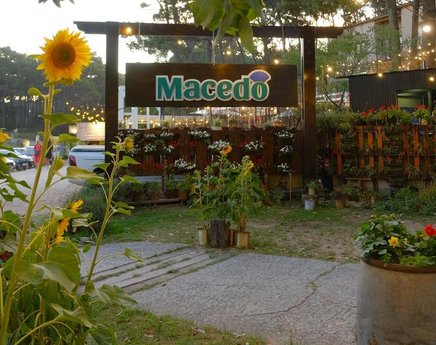 Macedo  - Foto 5
