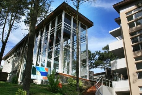 Bosque 301 - Foto 16