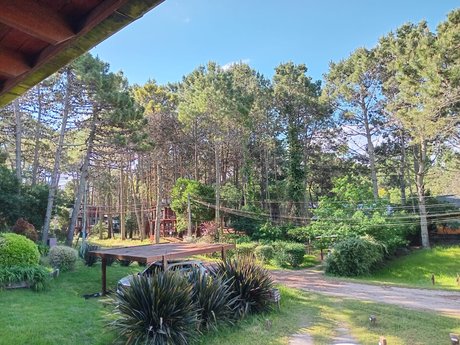 La Palmera - Foto 17