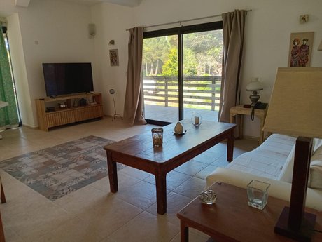 La Palmera - Foto 5