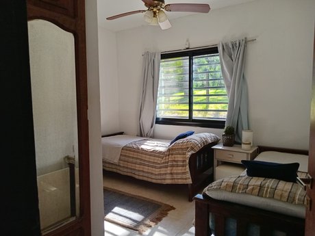 La Palmera - Foto 8
