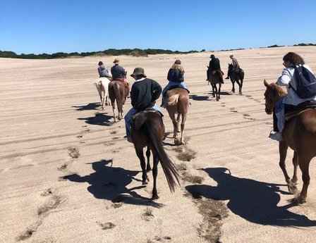 Cabalgatas - Excursiones Tuyusero - Foto 6