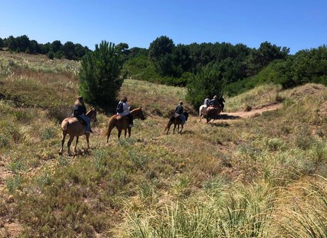 Cabalgatas - Excursiones Tuyusero - Foto 7