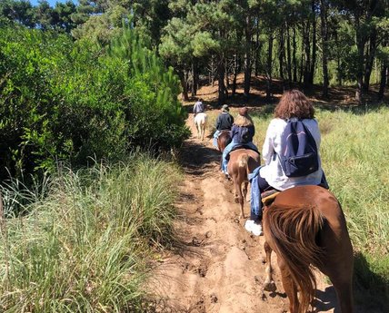 Cabalgatas - Excursiones Tuyusero - Foto 8