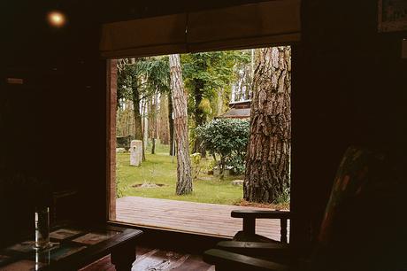 Cabañas Lemu - Foto 16