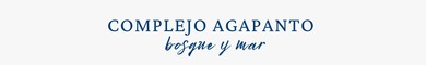Agapanto